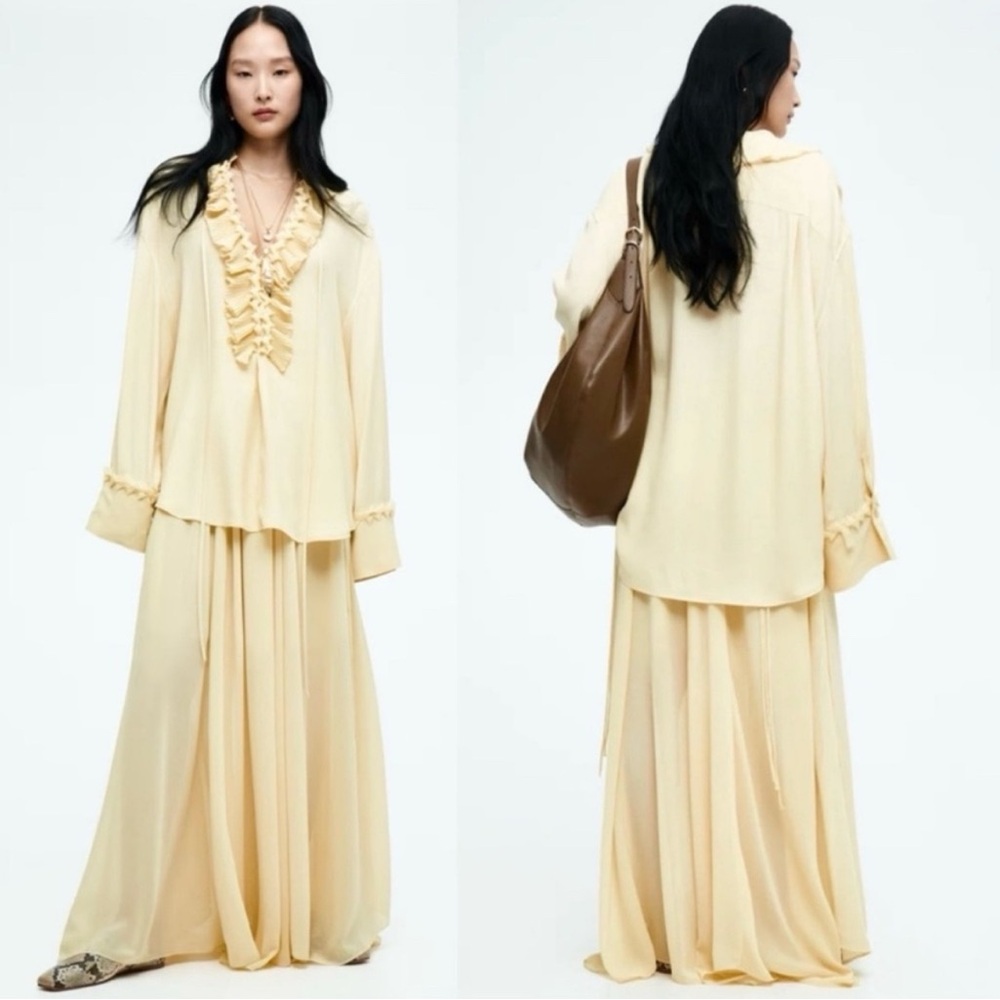 H&M Edition Chiffon Circle Skirt
